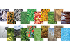 SCO NATURE TRAIL PAPER ASSTD A4 40SH -Min Qty 12