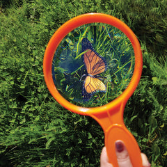 Large Hand Held Magnifier , each
