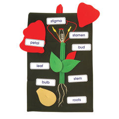 Plant In A Pocket
