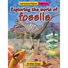 Rocks And Soils-Exploring