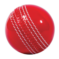 Cricket Ball Coaching - Pvc Snr