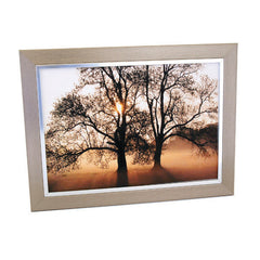 Frame Galaxy Pewter-Silver A4