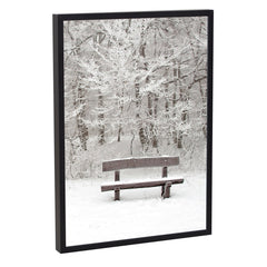 Sb Frame Satin Alu A3 Black