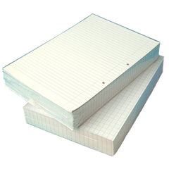 A4 Ex Pap 8Mm-Margin Punched Ream