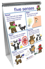 DISC-NEWPATH LEARNING - FLIP CHART - ALL ABOUT ME CURRICULUM SET - GRADES PREK-2