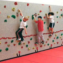 STANDARD TRAVERSE WALL 8X4 FT PACKAGE 2 IN MAT-LOCKING SYSTEM BLUE