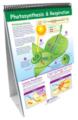 DISC-NEWPATH LEARNING - FLIP CHART - LIFE SCIENCE CURRICULUM SET - GRADES 5-9