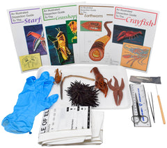 BASIC ZOOLOGY DISSECTION KIT WITH DISSECTION TOOLS