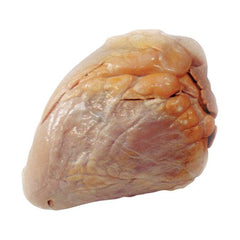 COW HEART - W/BASE OF AORTA - VAC PACK OF 10