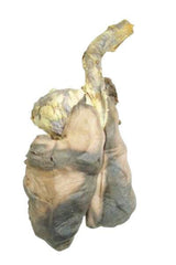 SHEEP PLUCK - VAC PACK OF 10