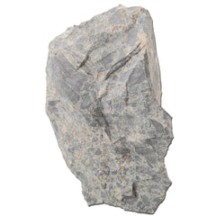 DISC-ROCK BRECCIA VOLCANIC LS