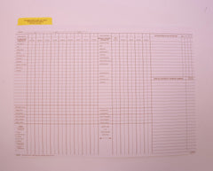 FOLDER CUMULATIVE RECORD DATA INSERT 9X11-3/4 PACK OF 25