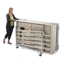 Travelmaster move and store cart