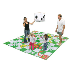 Giant Snakes & Ladders Games