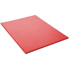 Gym/Judo Mat 2000X1000X40Mm Red