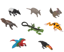 Animal from South America Ob