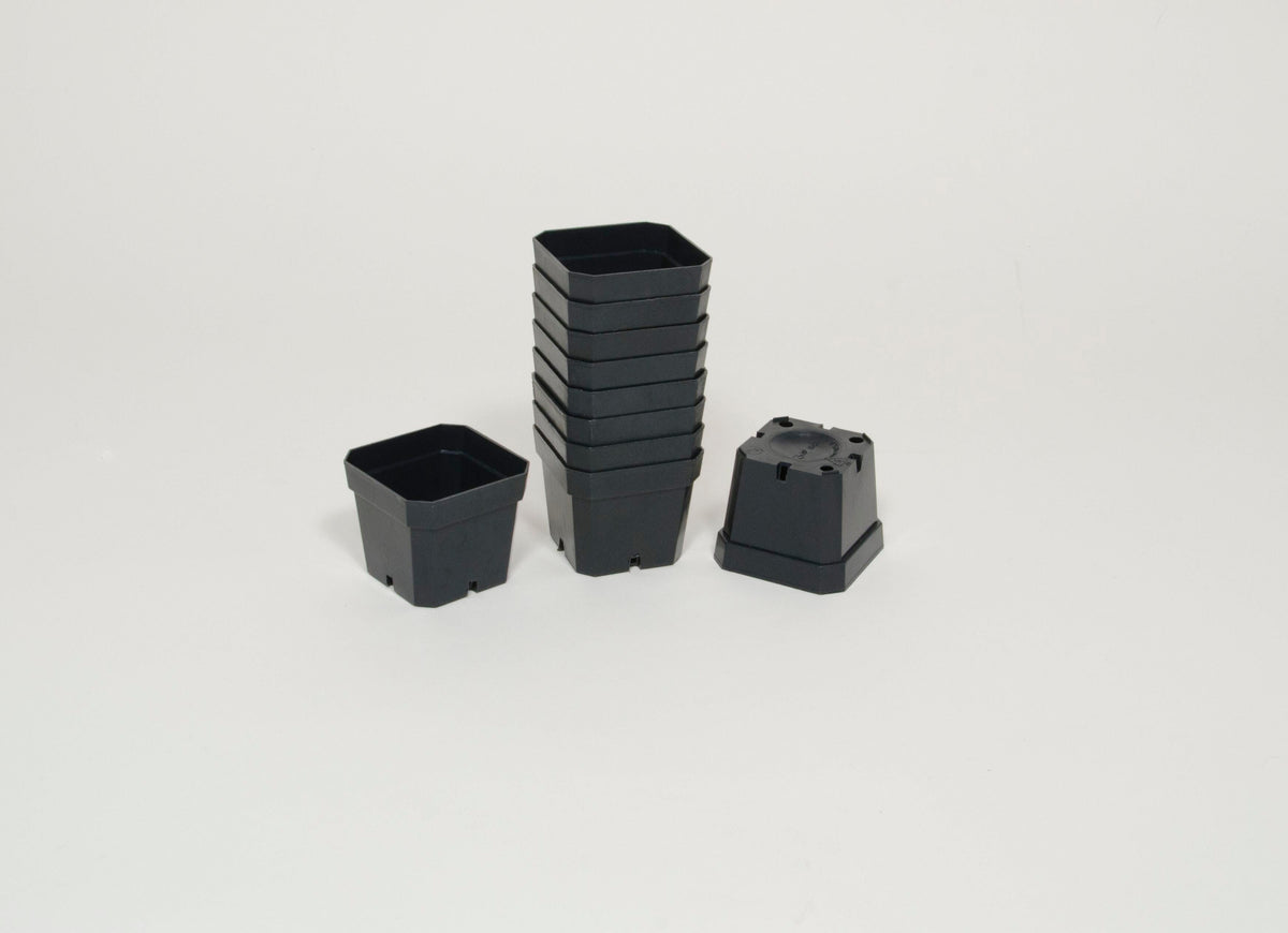FLOWER POT SQUARE 3 IN PK/10