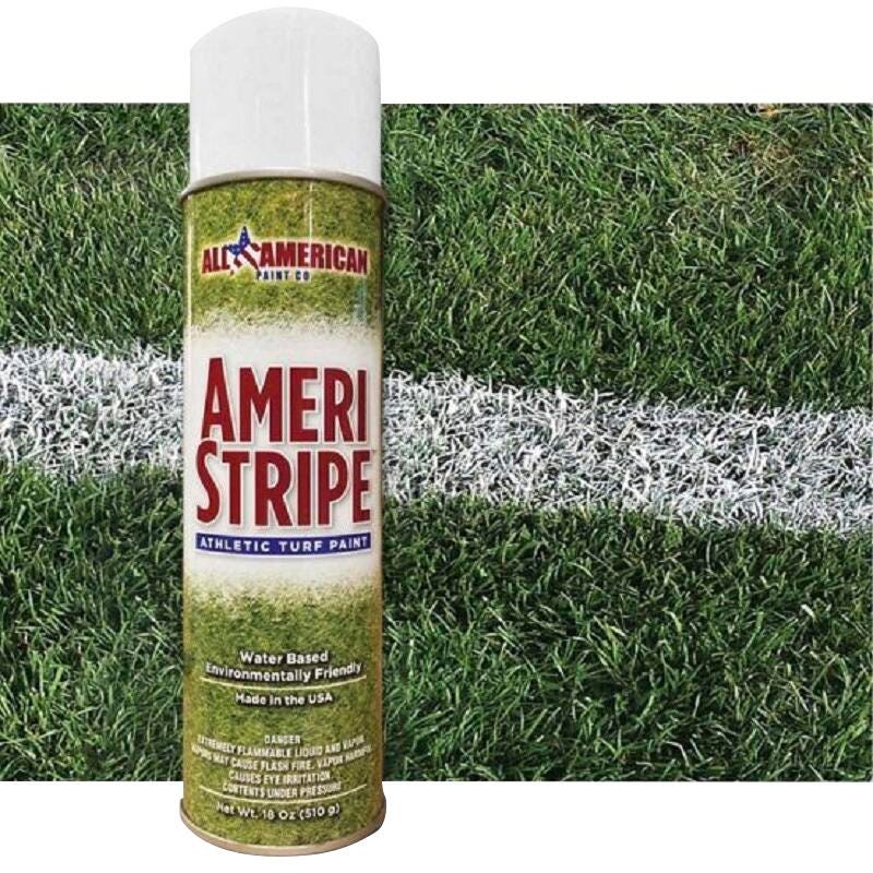 PAINT SPRAY ATHLETIC WHITE CASE OF 12