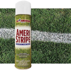 PAINT SPRAY ATHLETIC WHITE CASE OF 12