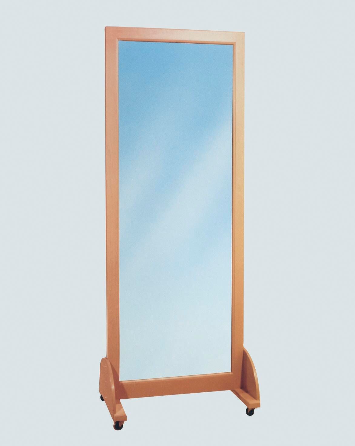 MIRROR VERTICAL ADULT 27X72