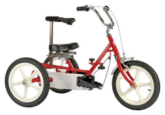 TRICYCLE TERRIER