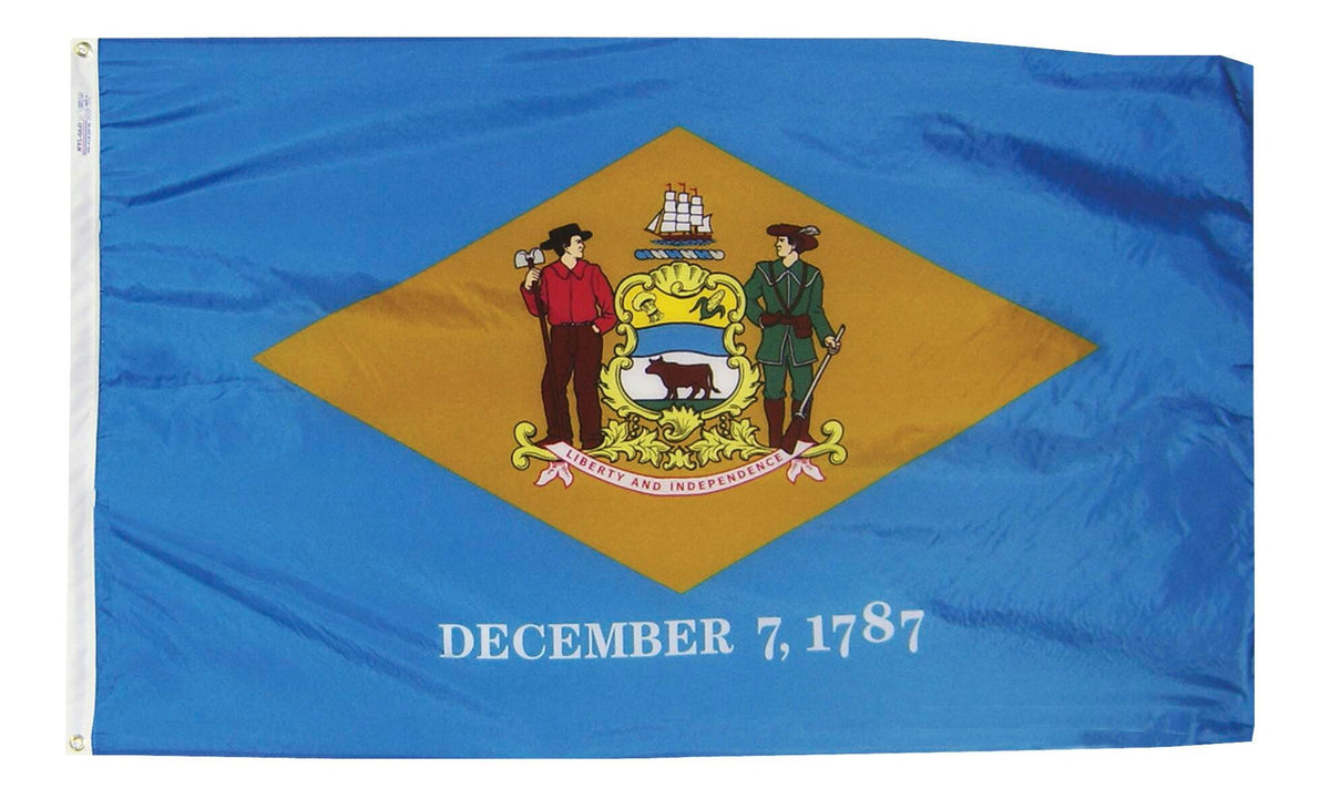 FLAG - DELAWARE OUTDOOR - 4 X 6 FEET