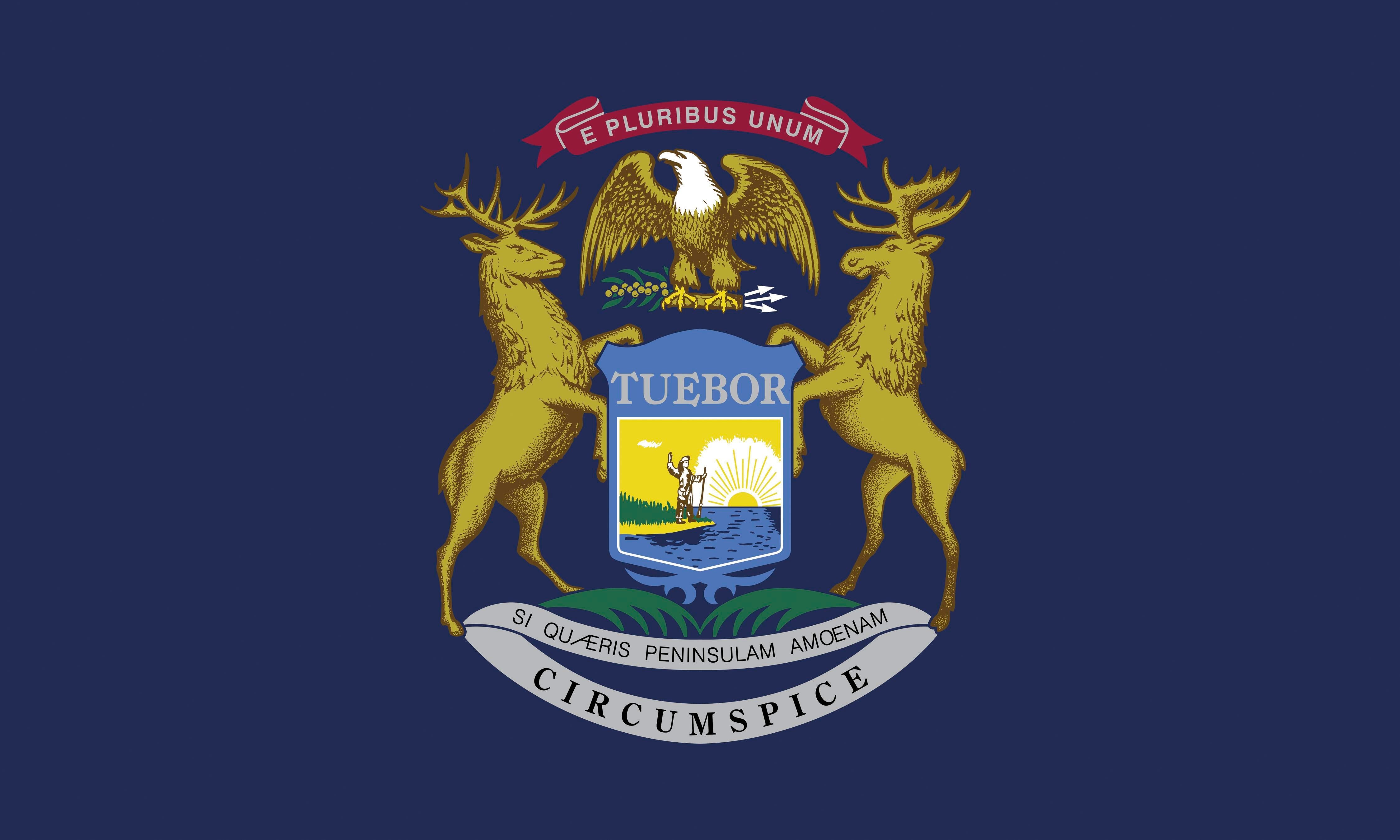 FLAG - MICHIGAN OUTDOOR - 4 X 6 FEET