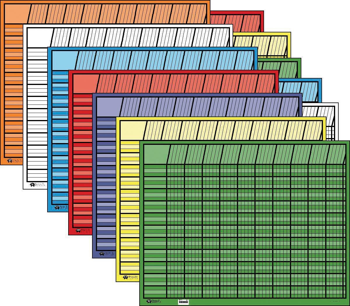 INCENTIVE CHART HORIZONTAL 22X28 ASSORTED PACK OF 12