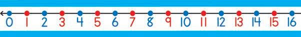 NUMBER LINES - 22X1 1/2 STUDENT P/30