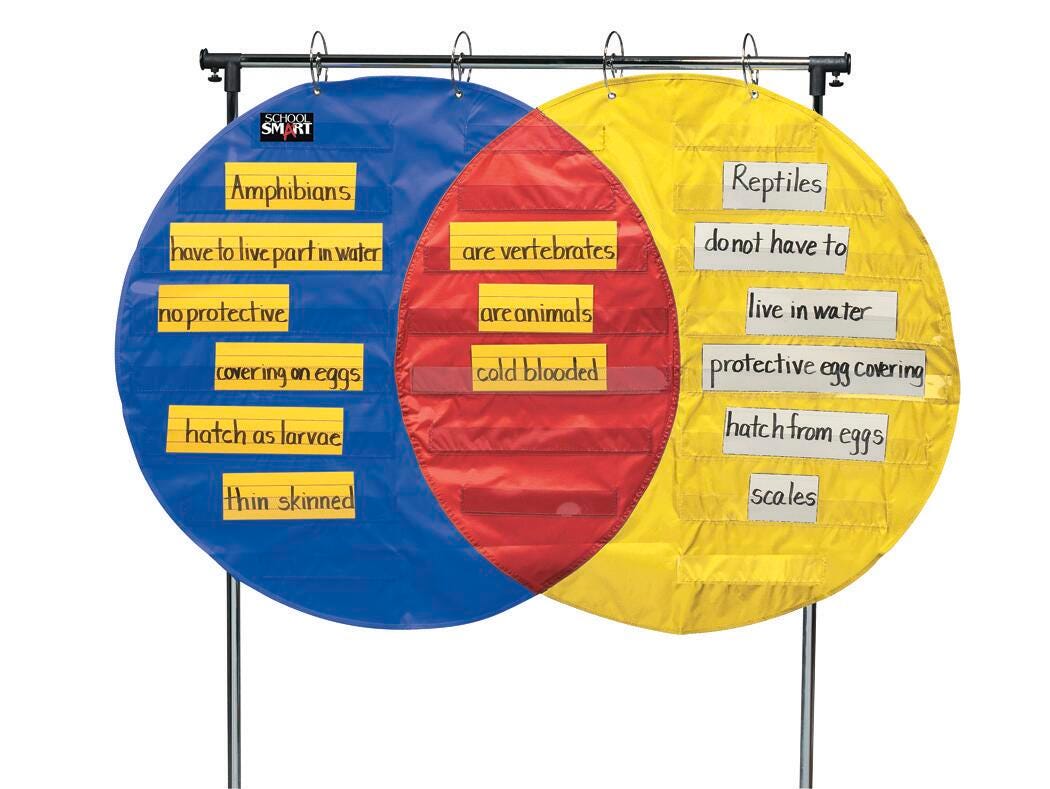 POCKET CHART - VENN DIAGRAM 54X35 1/2-SCHOOL SMART