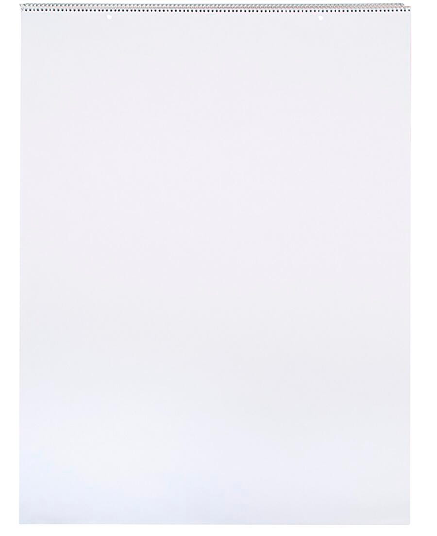 PAPER CHART 24X32 UNRULED 25 SHTS SCHOOL SMART