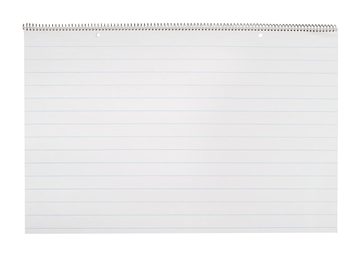 PAPER CHART 24X16 1 IN RLD 25 SHTS SCHOOL SMART