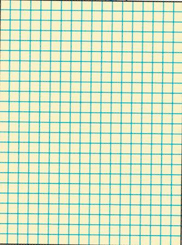 PAPER GRAPH 9X12 1/2 RULED MANILA SCHOOL SMART REAM