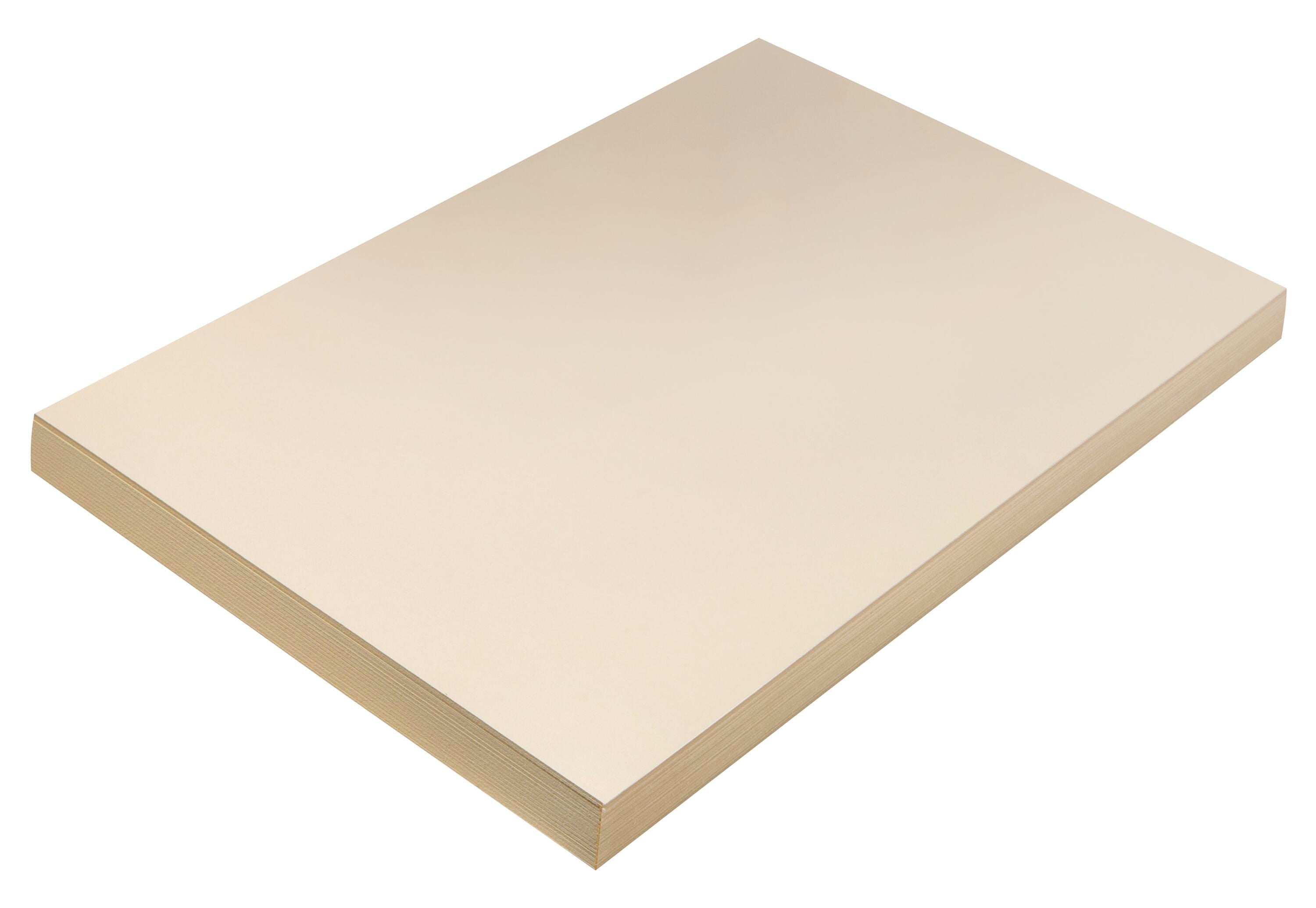 TAGBOARD MAN HVY WT 12X18 11 PT 5114 PK OF 100