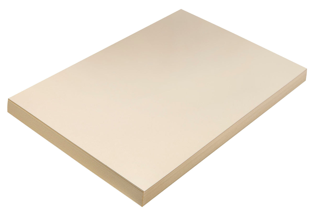 TAGBOARD MAN HVY WT 12X18 11 PT 5114 PK OF 100