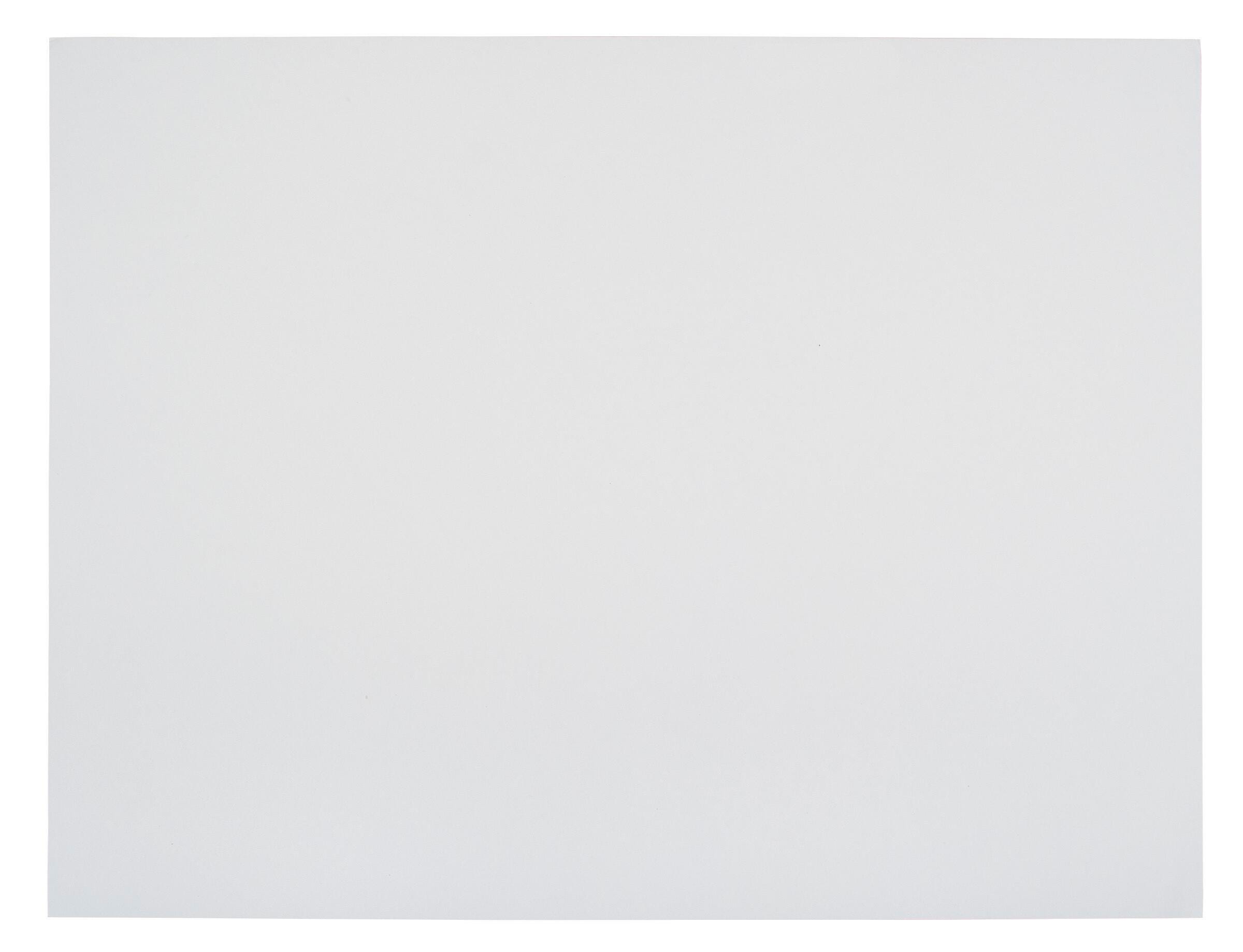 BOARD RAILROAD 22X28 WHITE SCHOOL SMART 4PLY PACK OF 25