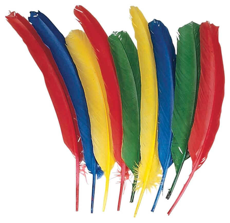 FEATHERS LONG QUILLS ASSORTED COLORS SET OF 12