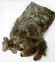 FEATHERS NATURAL ASSORTED 0.5 OZ SET OF 200