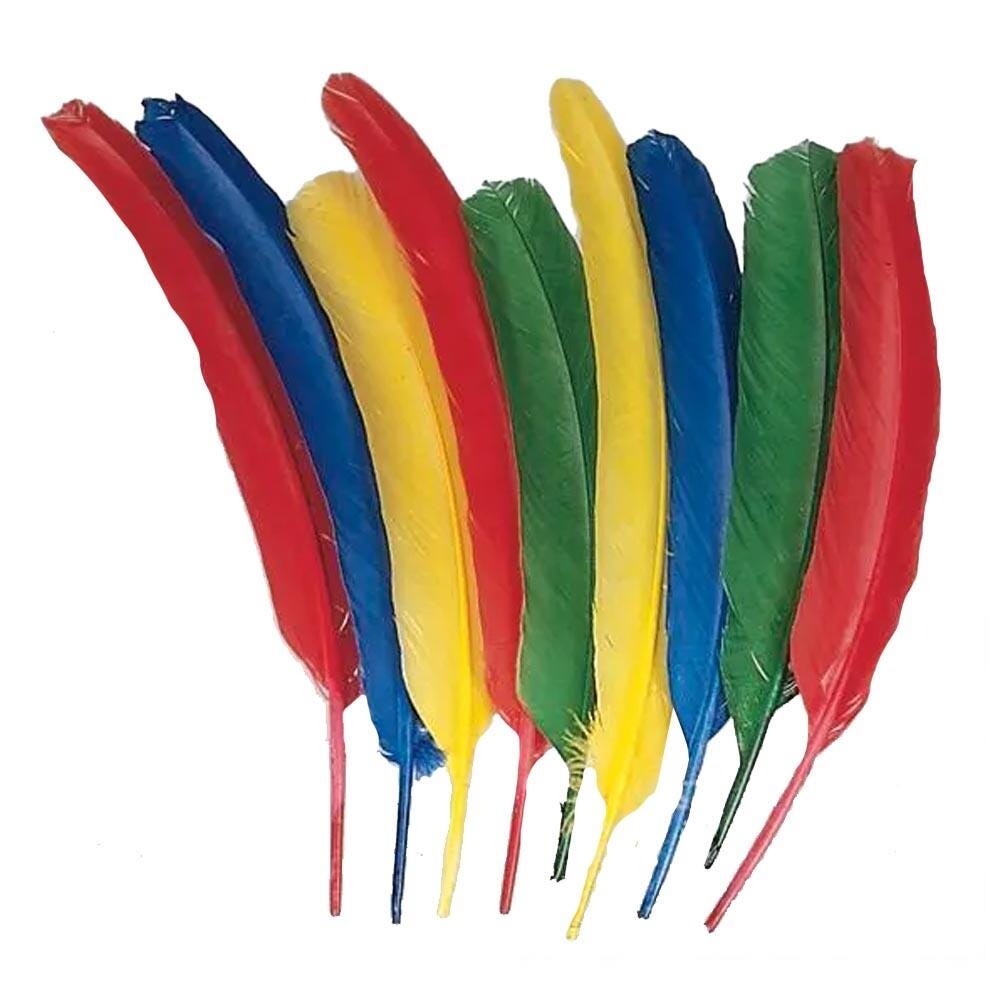 FEATHERS LONG QUILLS ASSORTED COLORS SET OF 100