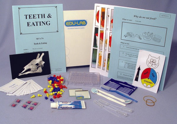EduLab Mini Science Kit - Teeth and Eating