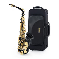Elkhart 100AS student Eb alto saxophone outfit - Black lacquer