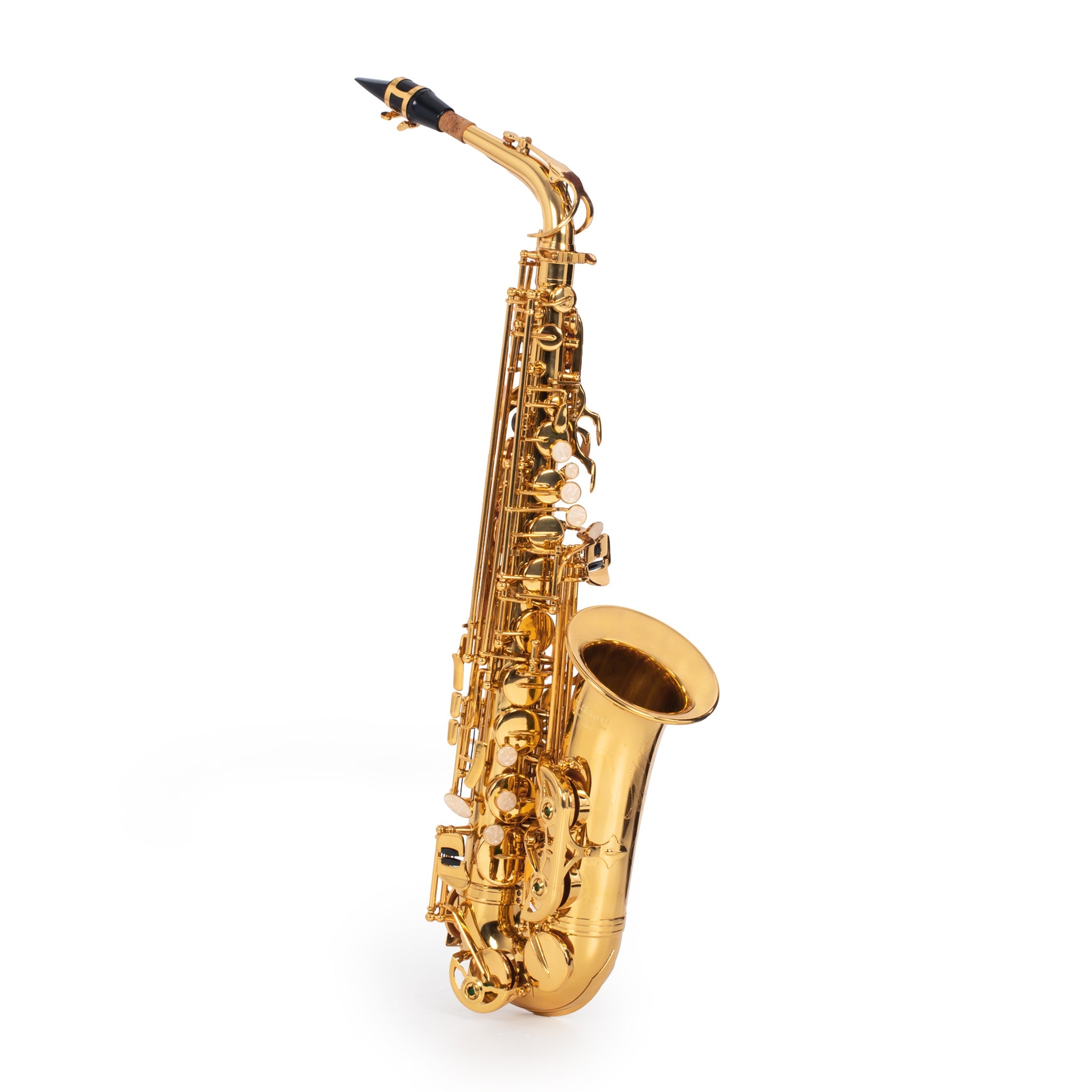 Elkhart 100AS student Eb alto saxophone outfit