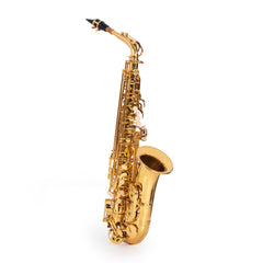 Elkhart 100AS student Eb alto saxophone outfit