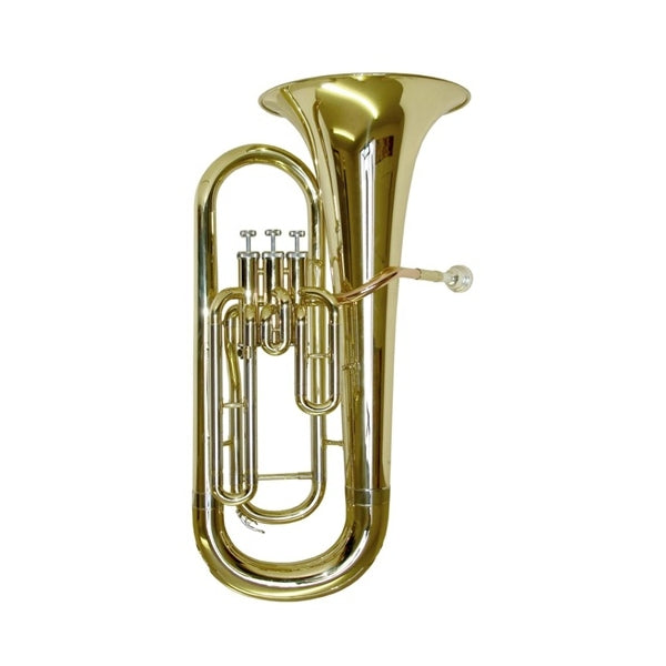Elkhart 100EH Bb student euphonium outfit