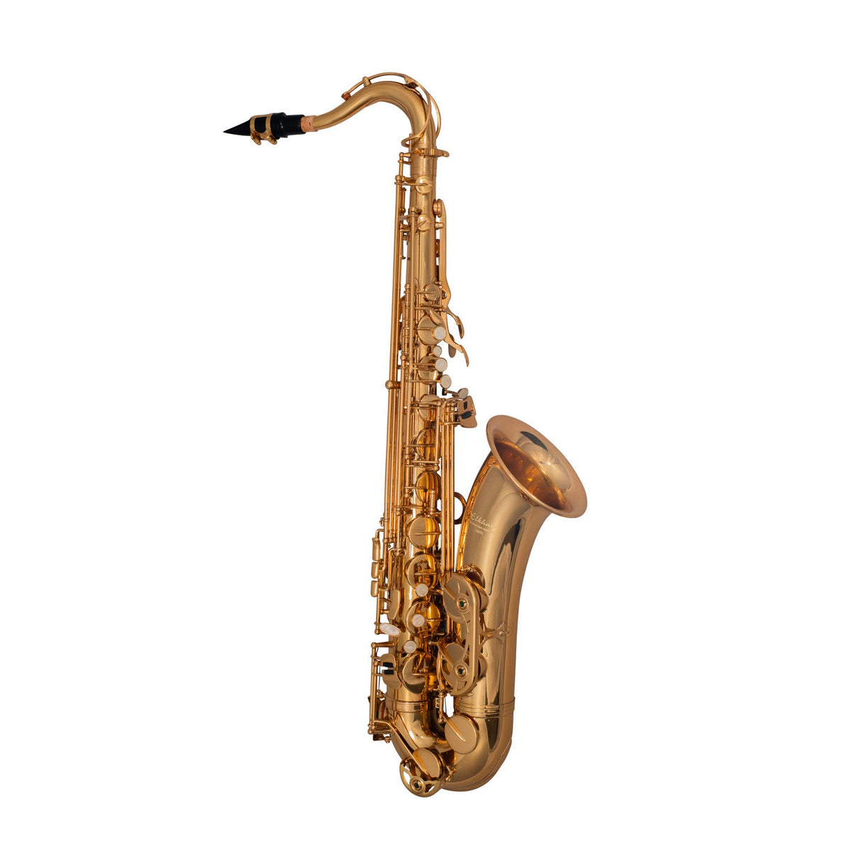 Elkhart 100TS student Bb tenor saxophone outfit
