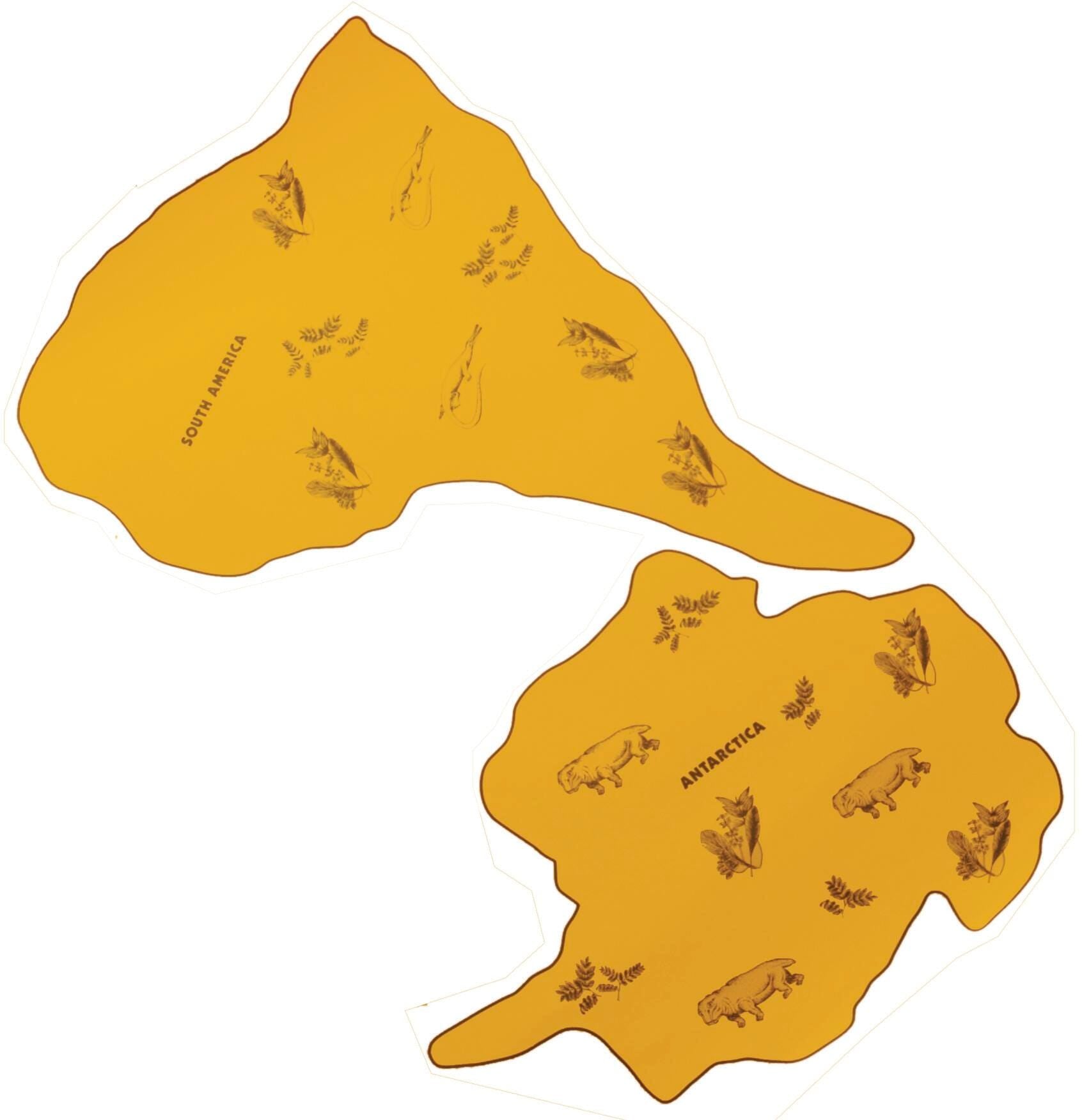 KIT MYSTERY OF FAR FLUNG FOSSIL