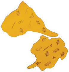 KIT MYSTERY OF FAR FLUNG FOSSIL