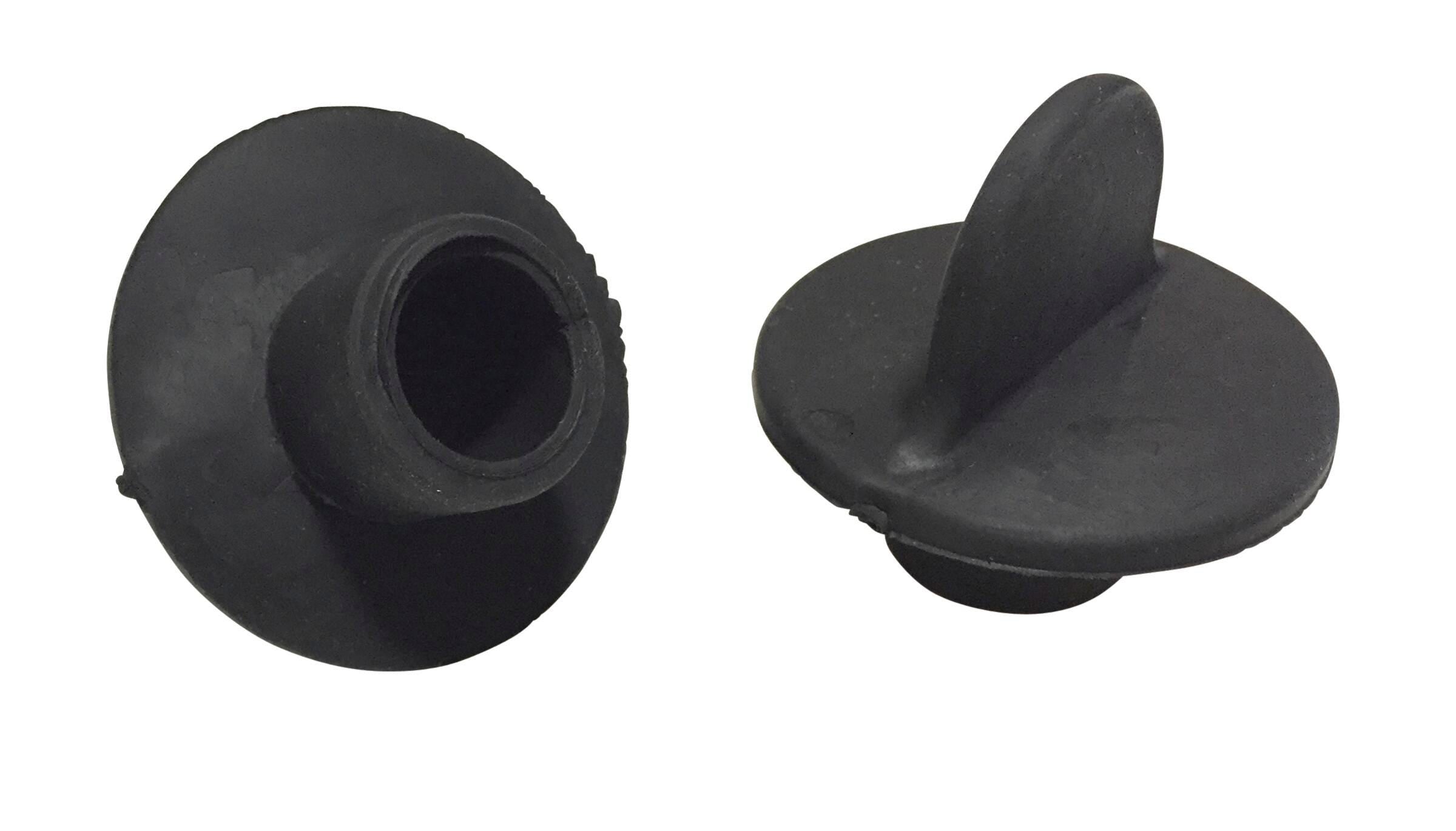 PLUG MANTA RAY WATER TABLE