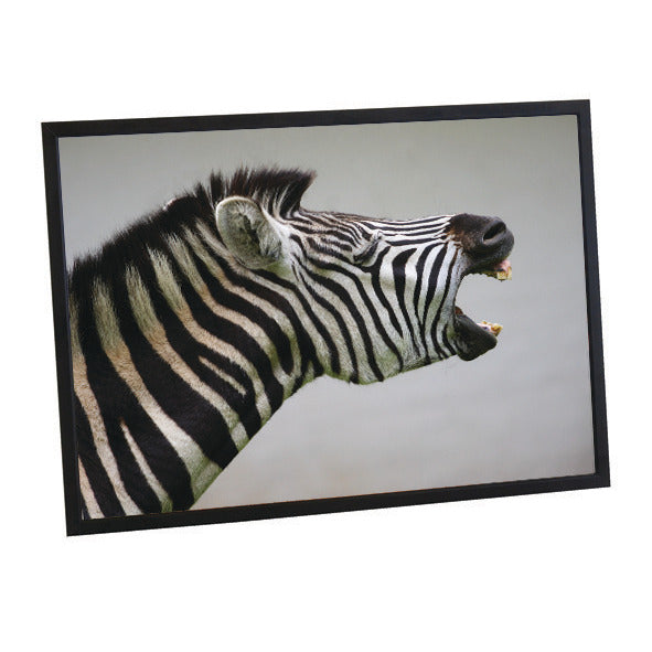 Picture Frame Black/Aluminium A1