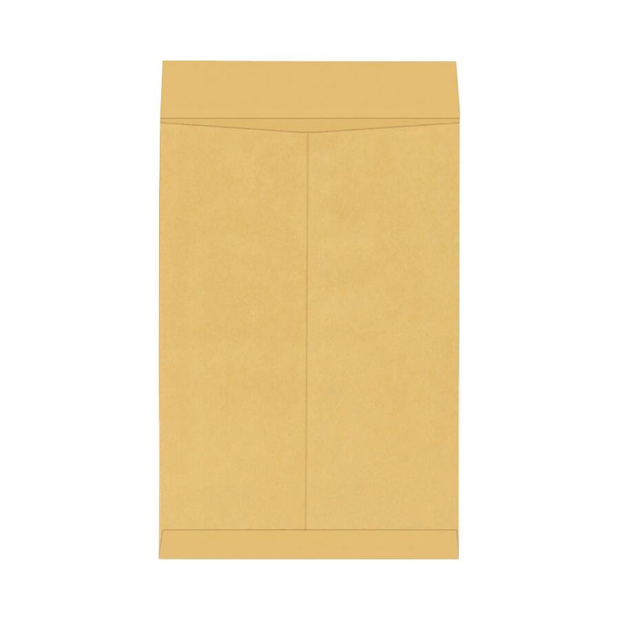 ENVELOPE SCHL SMRT KRFT UNGMD 15 X 20 IN 25 PK